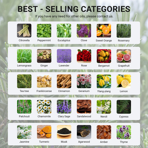 Растительный экстракт для ухода за волосами органическое розмариновое масло для волос натуральная перечная мята розмарин эфирное масло для роста волос оптом - Product Image 4