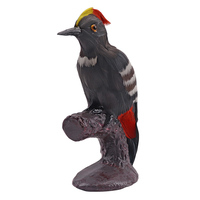 Modelo de simulación de animales, equipo educativo, espécimen de pájaro carpintero