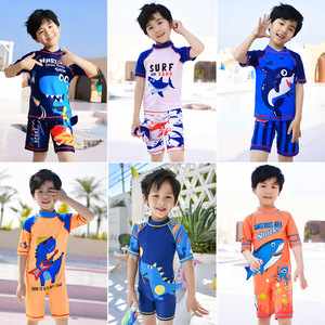 Traje de baño para niños, conjunto de dos piezas, secado rápido, estampado de dibujos animados, protección solar, bañador para niños, ropa para playa y piscina - Product Image 5