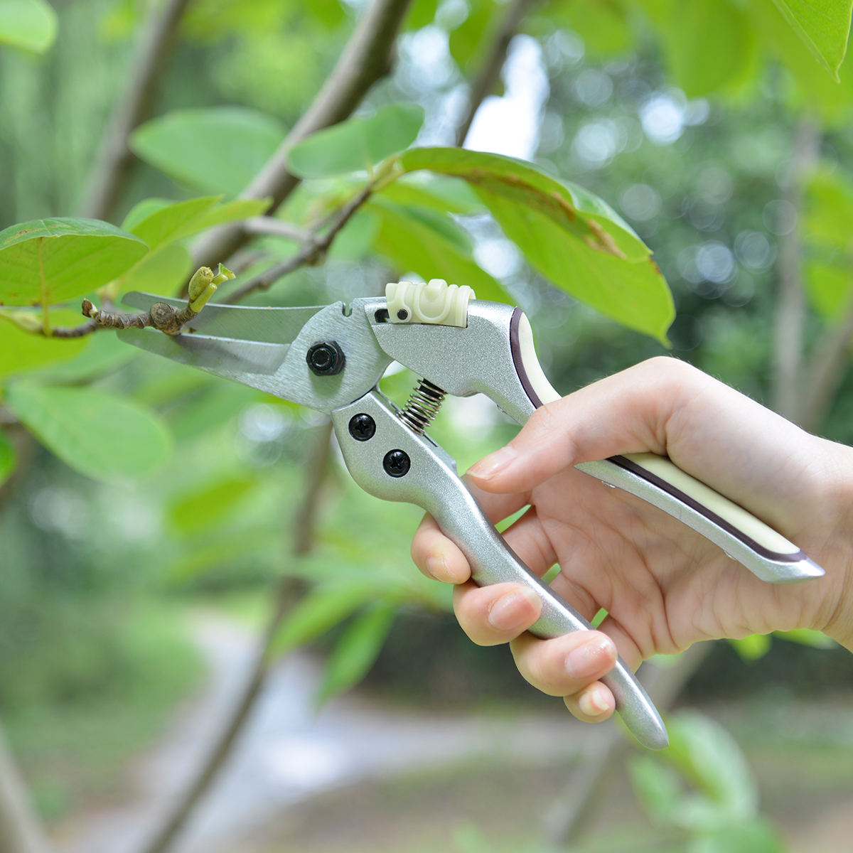 Winslow & Ross 8 дюймов садовые алюминиевые ручные ножницы с цветочным рисунком точные ручные ножницы обходной садовый секатор