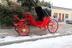 Chariot électrique à prix d'usine / Calèche de tourisme / Calèche à chevaux à vendre - Product Image 6