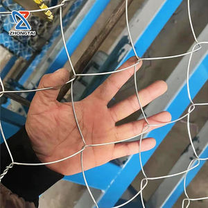 רשת גידור עמידה בפני קורוזיה, גלילים במחיר נמוך, עמידה, אבטחה, חקלאות, גינה, תיל, רשת תיל - Product Image 5