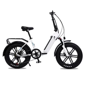 cheap fast 20 ihch 7 speed 48V 500W 1000W adults electric bicycle electric city ladies bike for men and women