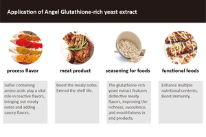 Thành phần thực phẩm flavour Enhancer men chiết xuất men thủy phân - Product Image 6