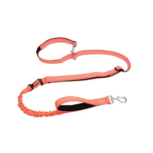 Naylon Ağır Hizmet Tipi Kişiselleştirilmiş Baskılı Eğitim Bungee Köpek Tasması Küçük/Orta/Büyük Köpekler için Araba Emniyet Kemeri 2 Yastıklı Tutamaklar - Product Image 3