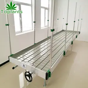 Professional ebb and flow rolling benches factory supplier hydroponic greenhouse