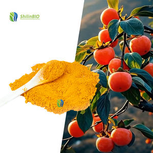 Poudre <span class=keywords><strong>de</strong></span> jus <span class=keywords><strong>de</strong></span> kaki <span class=keywords><strong>de</strong></span> qualité alimentaire, extrait végétal <span class=keywords><strong>de</strong></span> haute qualité, poudre <span class=keywords><strong>de</strong></span> kaki - Product Image 3