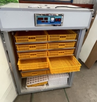 Équipement automatique économiseur d'énergie d'incubation d'oeufs avec la capacité d'oeufs 528-10000 comprenant les boîtes d'oeufs isolées