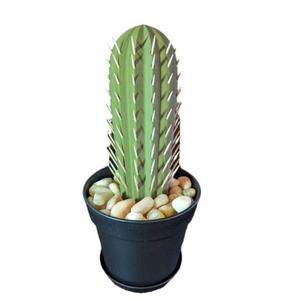 Caja para Palillos de Dientes con Diseño de Cactus Impreso en 3D, Simulación de Maceta, AMA Transfronterizo - Product Image 1