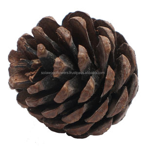 Vases en cloche de 7 pouces en pin sec, fleurs et plantes naturelles, décoration d'intérieur écologique de qualité supérieure, vente en gros, pour toutes les occasions - Product Image 4