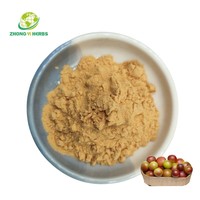 Poudre d'extrait de Camu naturel Vitamine C 17% 20% Poudre de Camu Camu biologique