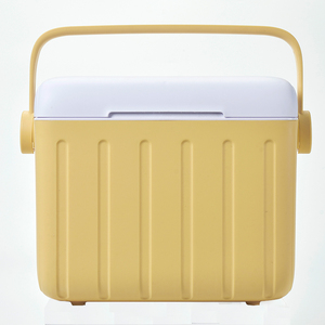 Oem ODM 6L hiệ<span class=keywords><strong>n</strong></span> đạ<span class=keywords><strong>i</strong></span> thương mạ<span class=keywords><strong>i</strong></span> Cooler Box PP chất liệu nhựa nhỏ cách nhiệt cho rượu vang thực phẩm lon Ice Cream bia uống Cooler - Product Image 3