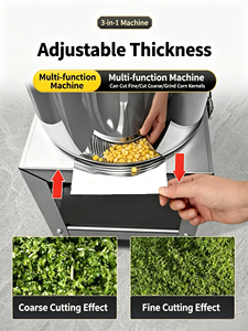 Hacheuse <span class=keywords><strong>de</strong></span> légumes à entraînement par courroie, puissance accrue, avec seau anti-blocage <span class=keywords><strong>en</strong></span> acier inoxydable, pour usage domestique, agricole et préparation d'aliments pour volailles - Product Image 2