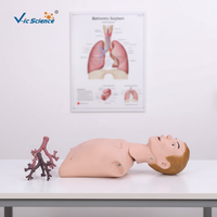 Modèle anatomique d'entraînement à l'endoscopie bronchique, mannequin pour école de médecine, matériau PVC, V-IC SCIENCE