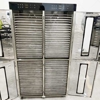 Commercieel Uitdrogen 80 Gebruikte Banaan Verse Ananas En Mango Fruitdroger Machine Prijs In India