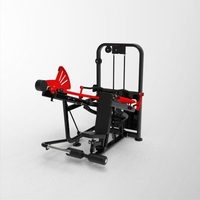Machine d'extension supérieure des triceps et de dips pour un entraînement complet des bras