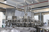 Machine de remplissage automatique économique pour jus d'ananas en bouteilles plastiques, prix usine