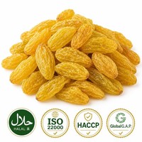 Raisins secs jaunes Golden Sultana, fruits secs naturels, sucrés, de qualité supérieure, pour la pâtisserie, la cuisine, vente en gros, en vrac, Gansu Chine, durée de conservation de 12 mois