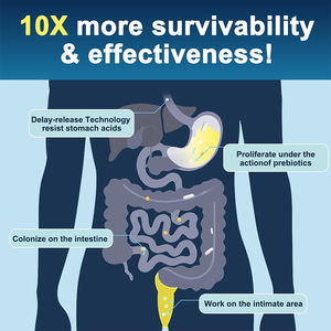 Etiqueta privada 90 cápsulas de probióticos veganos para hombres Suplemento de salud digestiva Enzimas digestivas Saw Palmetto Cranberry Adultos - Product Image 6