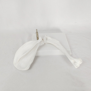 Giá tốt sản phẩm mới Dog Shoulder 18x14x27cm Doanh xương giải phẫu cấu trúc cấu trúc mô hình giảng dạy - Product Image 4