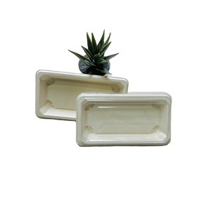 Sugarcane Bagasse Disposable Biodegradable Eco-Friendly Paper Sushi Box Tray 04 Tray disposable plastic sushi tray