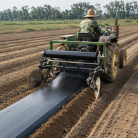 Film de paillage plastique résistant aux UV pour l'agriculture, 1 mil, blanc et noir, pour la culture des fraises et des légumes