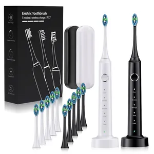 Wholesale Adult Sonic Electric Toothbrush Rechargeable Vibration Toothbrush Private Label With Wireless Charging