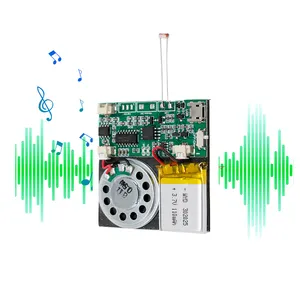 Directamente de fábrica Sensor de luz Activado Grabación de música chip PCB Módulo de música Módulo de sonido programable USB para tarjetas de felicitación