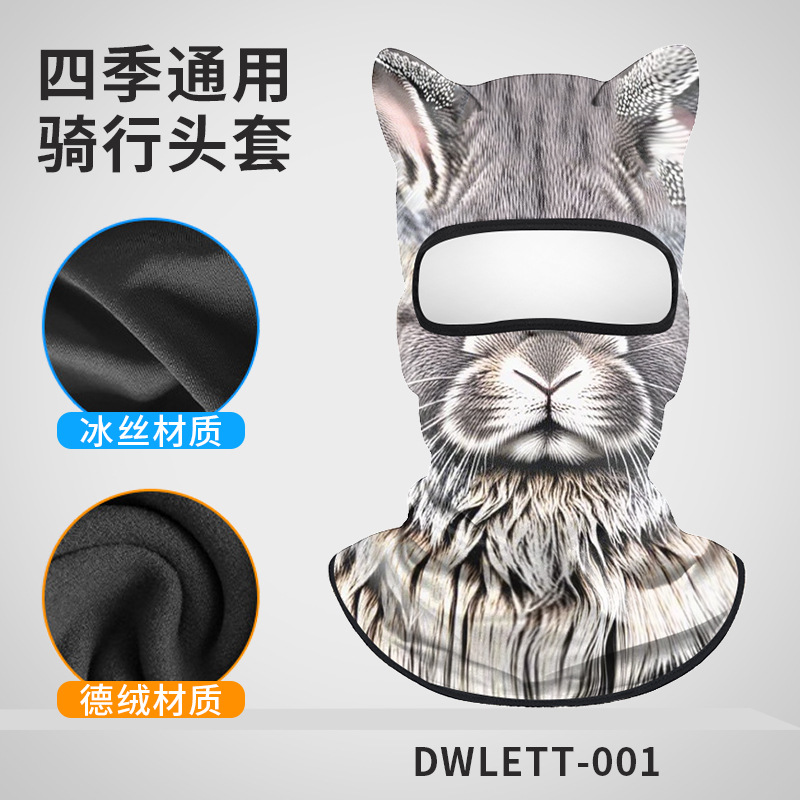 DWLETT-001