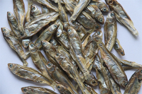 100% natuurlijk, hoog eiwitgehalte, milieuvriendelijk, zongedroogd droogvoer voor kleine riviervissen uit China, bevordert de gezondheid van de gewrichten, geschikt voor alle leeftijden.