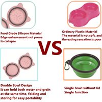 Bols pliants en silicone pliants pour chiens de compagnie pour voyage facile à prendre bol pliable double pour chien
