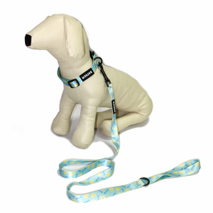 Set Personalizzato per Cani con Pettorina, Dispenser per Sacchetti Igienici, Bandana, Guinzaglio Regolabile e Collare - Product Image 4