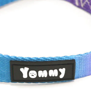 Idéal pour les grands chiens pesant de 25 à 45 kg Collier et laisse pour animaux de compagnie changeant de couleur arc-en-ciel 2,5*40-60 cm - Product Image 4