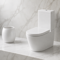 WC moderne en céramique deux pièces avec siphon en P, chasse d'eau double, abattant à fermeture douce, pour appartement
