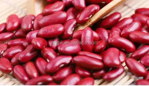 Sell Fresh Red Kidney Beans At A Reasonable Price