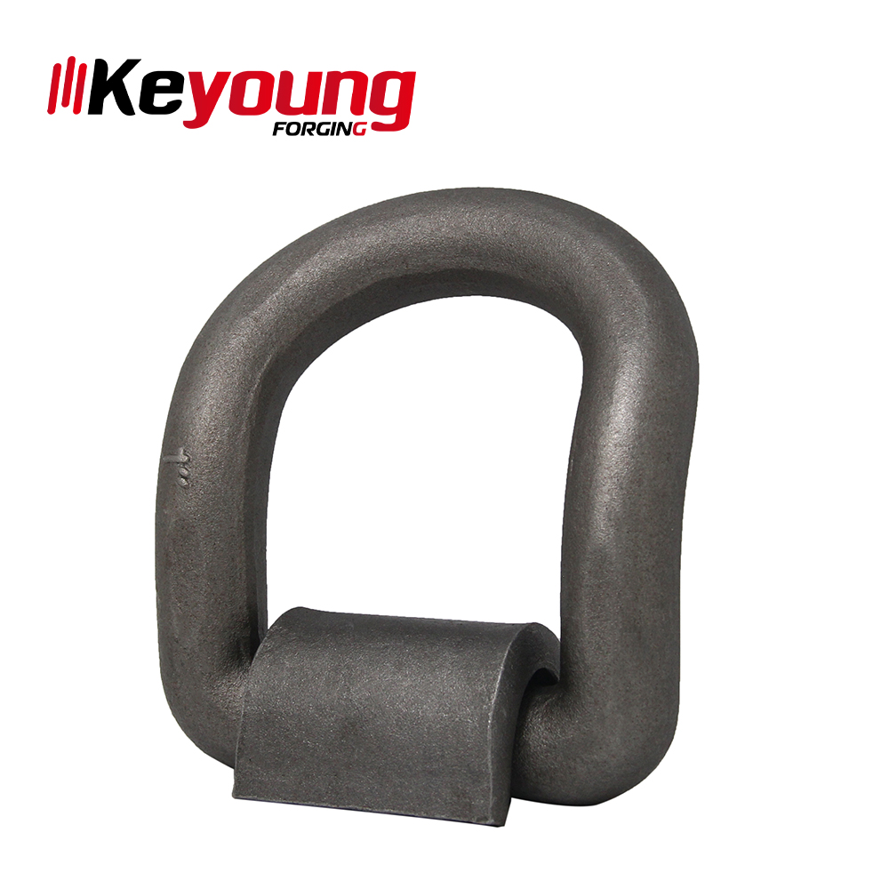 Professional High Efficiency Alloy Steel D-Ring Lashing Forging Metal Strap Galvanized Available Box Bag Carton
