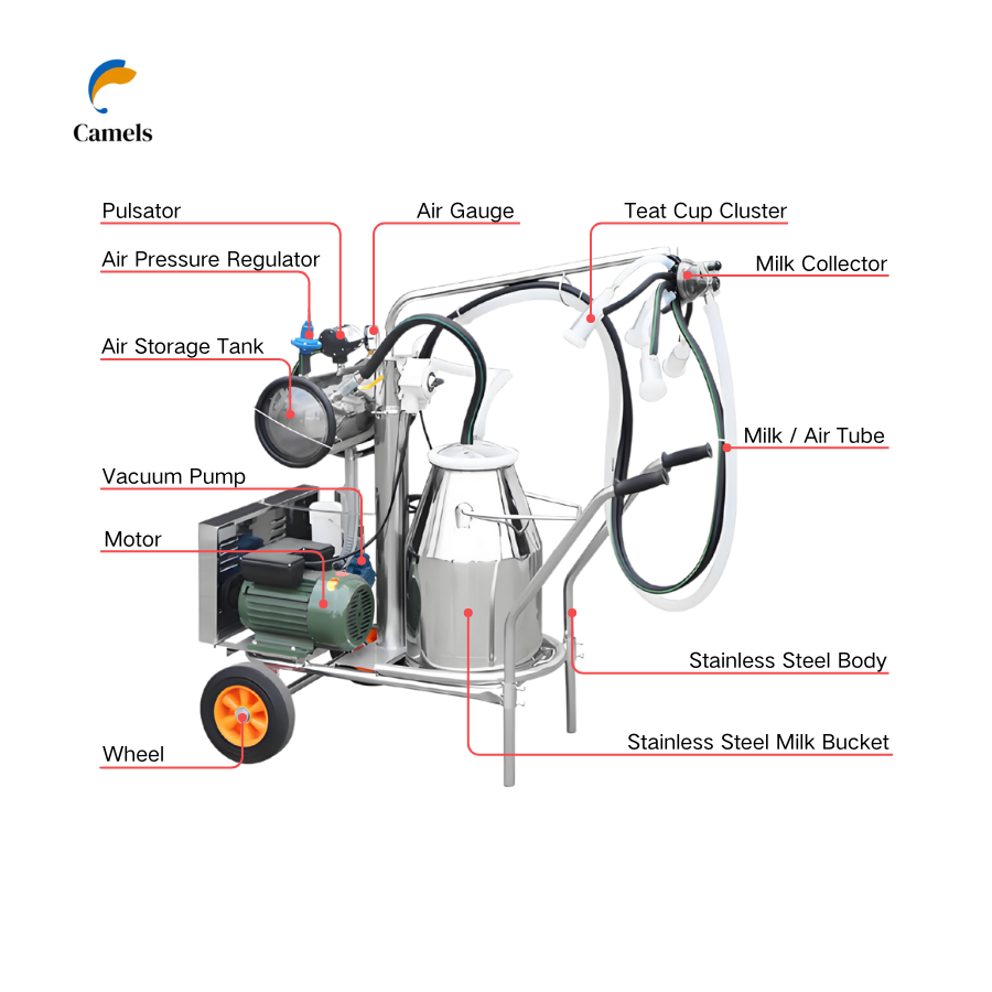 Pssopp Machine à Traire Électrique Portable 2L - Tire-Lait Vache Chèvre Mouton Avec Double Pompe Et Bouteille Graduée