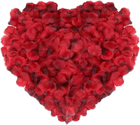 Échantillon Gratuit : Ensemble de Fleurs Séchées Pressées – 6 Types, 18 Pièces (Hydrangea Rouge, Rose, Chrysanthème, Fougère, Gypsophile) – Idéal pour Bricolage et Artisanat Réutilisable