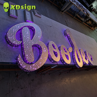Lettres lumineuses LED personnalisées XDsign Starry Sky pour événements, enseigne de mariage certifiée CE, éclairage publicitaire extérieur pour voiture