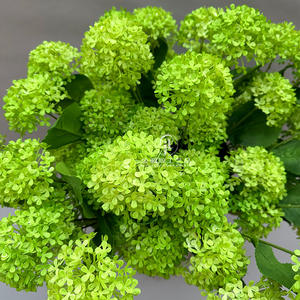 H-367solid non-effondrement 3 têtes en plastique hortensia fleurs Faux boule verte maison mariage décor hortensia artificiel géranium Bush - Product Image 6