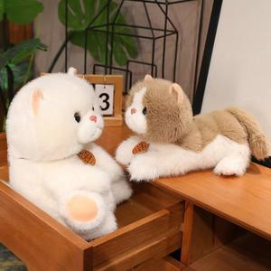 Vente en gros de jolies peluches de chat brodées multi-styles et d'ours en peluche doux, beaux cadeaux pour les filles et les enfants - Product Image 3