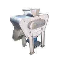 Fabrieksprijs Ananassap Afzuigmachine Apple Juicer Maken Machine Sapcentrifuge Machine