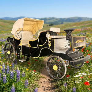 Mini-voiture électrique, véhicule à énergie nouvelle, voiture chinoise, voiture électrique économique, petites voitures pour adultes, chariot à chevaux - Product Image 1