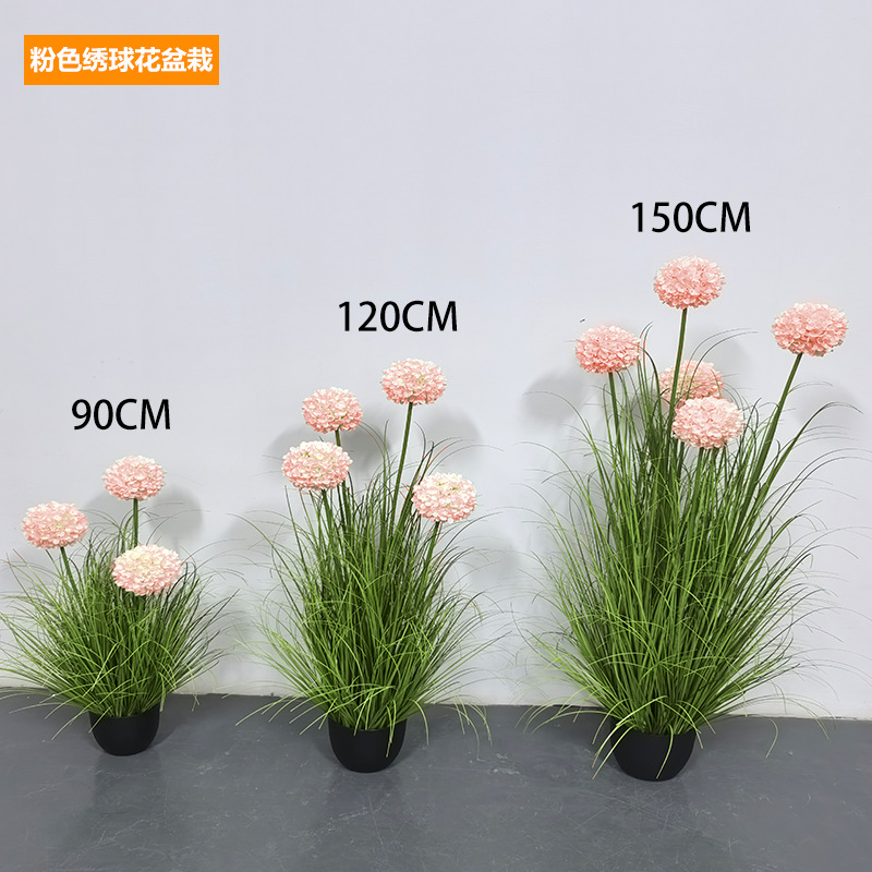 ไฮเดรนเยียสีชมพู [กระถาง]