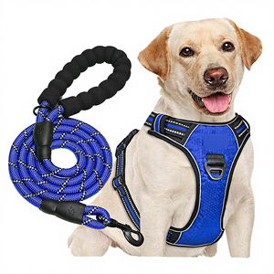 Conjunto de Correa y Arnés de Lujo para Perro, de Poliéster Sólido, con Logotipo de Marca Personalizado, Arnés Tipo Chaleco Antitirones para Perros Medianos/Grandes - Product Image 4