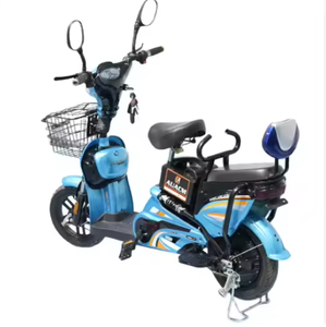 Bicicleta Eléctrica Urbana con Motor Trasero sin Escobillas de 48V 350W, 3 Velocidades, Cuadro de Acero, Batería de Plomo-Ácido, Precio de Fábrica Económico - Product Image 1