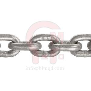 Cadena de Acero al Carbono Galvanizado en Caliente HLM, Acabado Simple, Cadena Transportadora Estándar para Montaje, Cumple con CE <span class=keywords><strong>ICO</strong></span>, Muestra Gratuita - Product Image 6