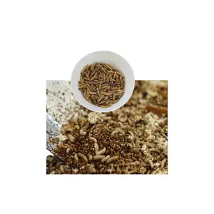 Factory in Stock High Protein Black Soldier Fly Dried Larvae Animal Bird Fish Chicken Feed Meal Soybean Corn Replacement