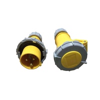 Prise industrielle 110V avec prise femelle 2P+PE 16A étanche IP67, prise de courant industrielle 2P+T 16 ampères