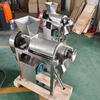 Industriële peerensapmachine, hoog rendement citroen- en sinaasappelsapmachine, grote capaciteit fruitsapcentrifuge
